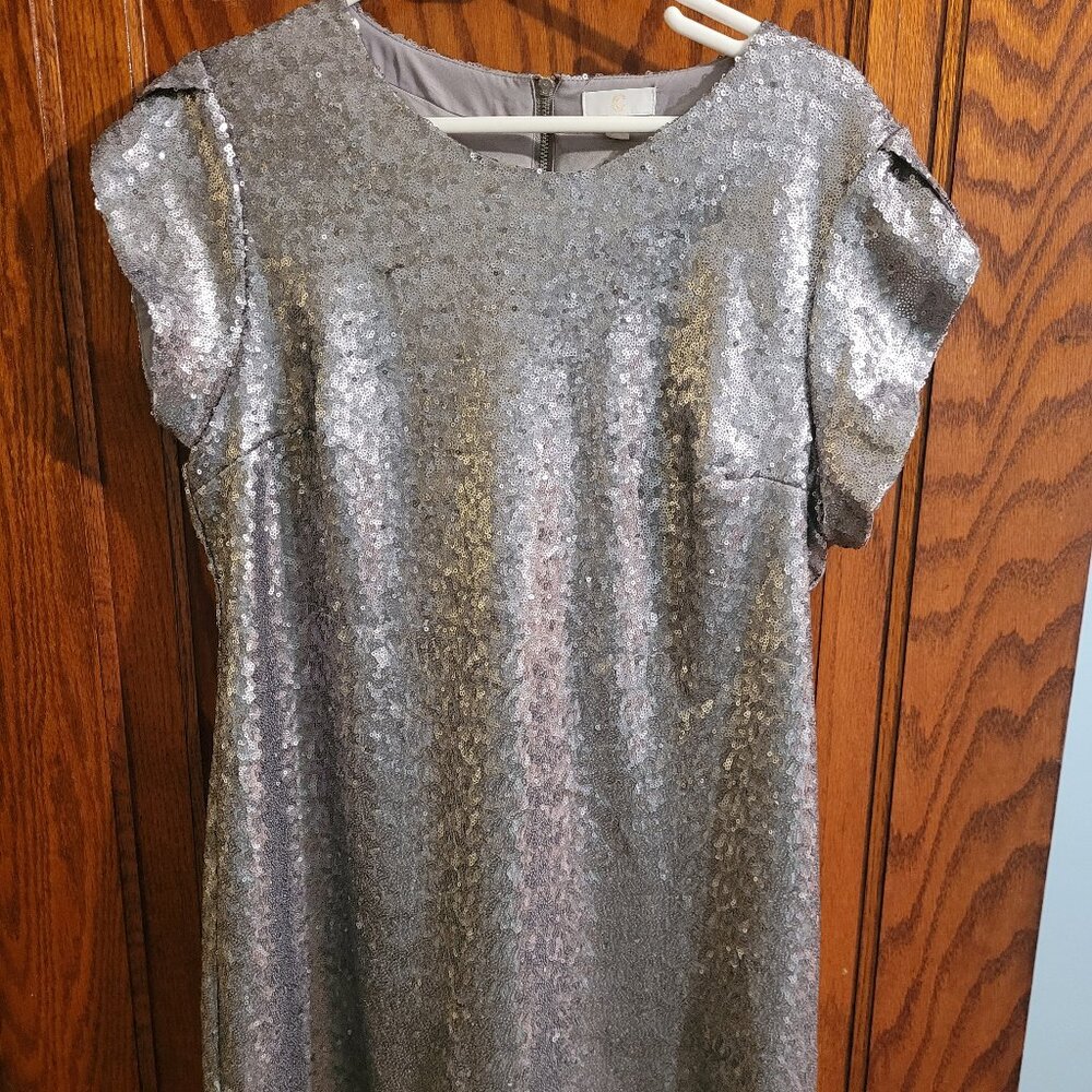 Charming Charlie Silver sequence dress size large